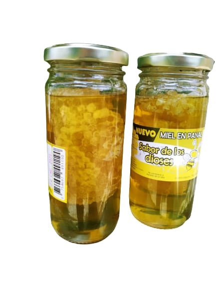 Miel Pura Cruda en Panal Natural 250gr Frasco de Vidrio Pack x5 / MIEL-PAN-250-PACKx5