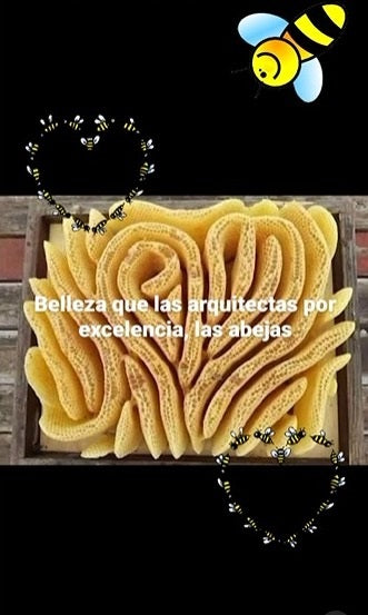 Miel Pura Cruda Clásica 250gr Frasco de Vidrio 🍯🇦🇷 / MIEL-CLA-250