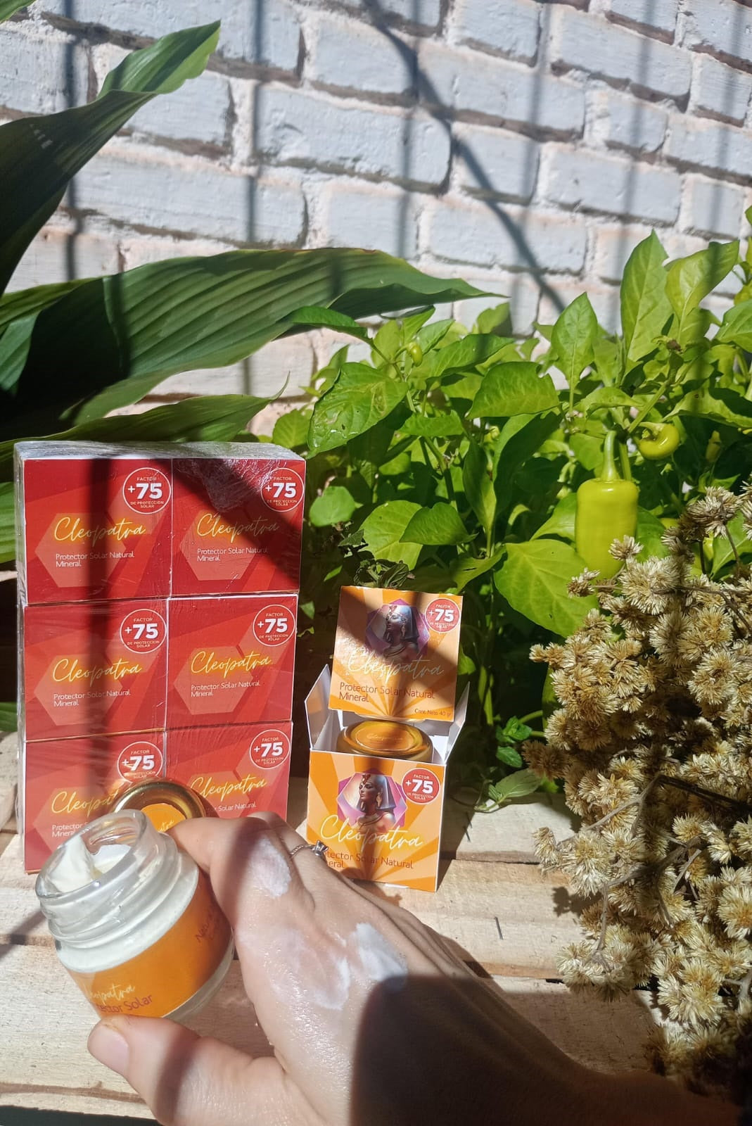 Crema Protector Solar Natural Mineral Cleopatra FPS+75  40g  Pack x6 | CLEO-SOL-75FPS-40-PACKx6