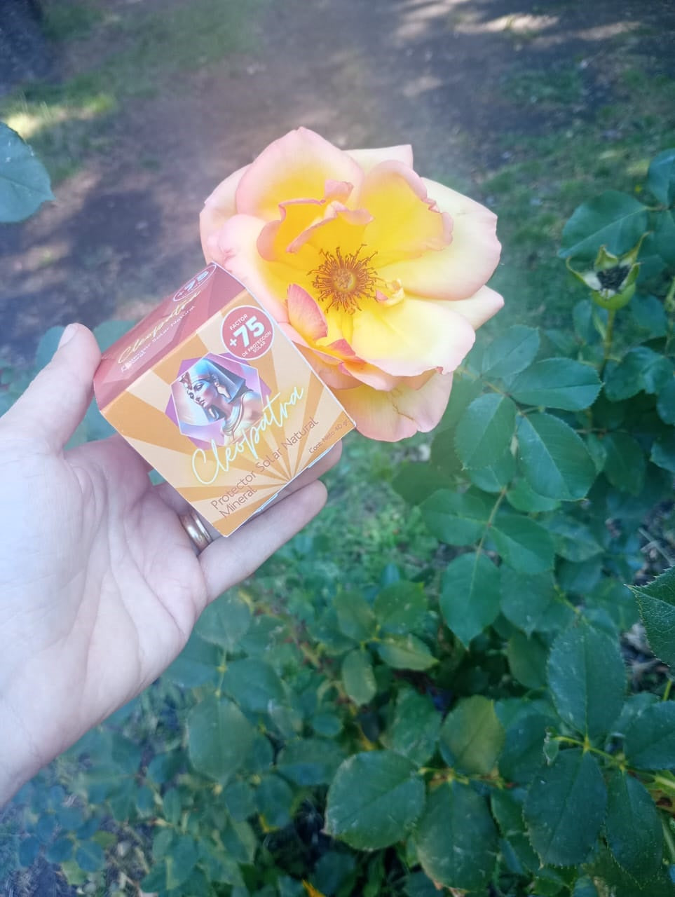 Crema Protector Solar Natural Mineral Cleopatra FPS+75  40g  Pack x6 | CLEO-SOL-75FPS-40-PACKx6