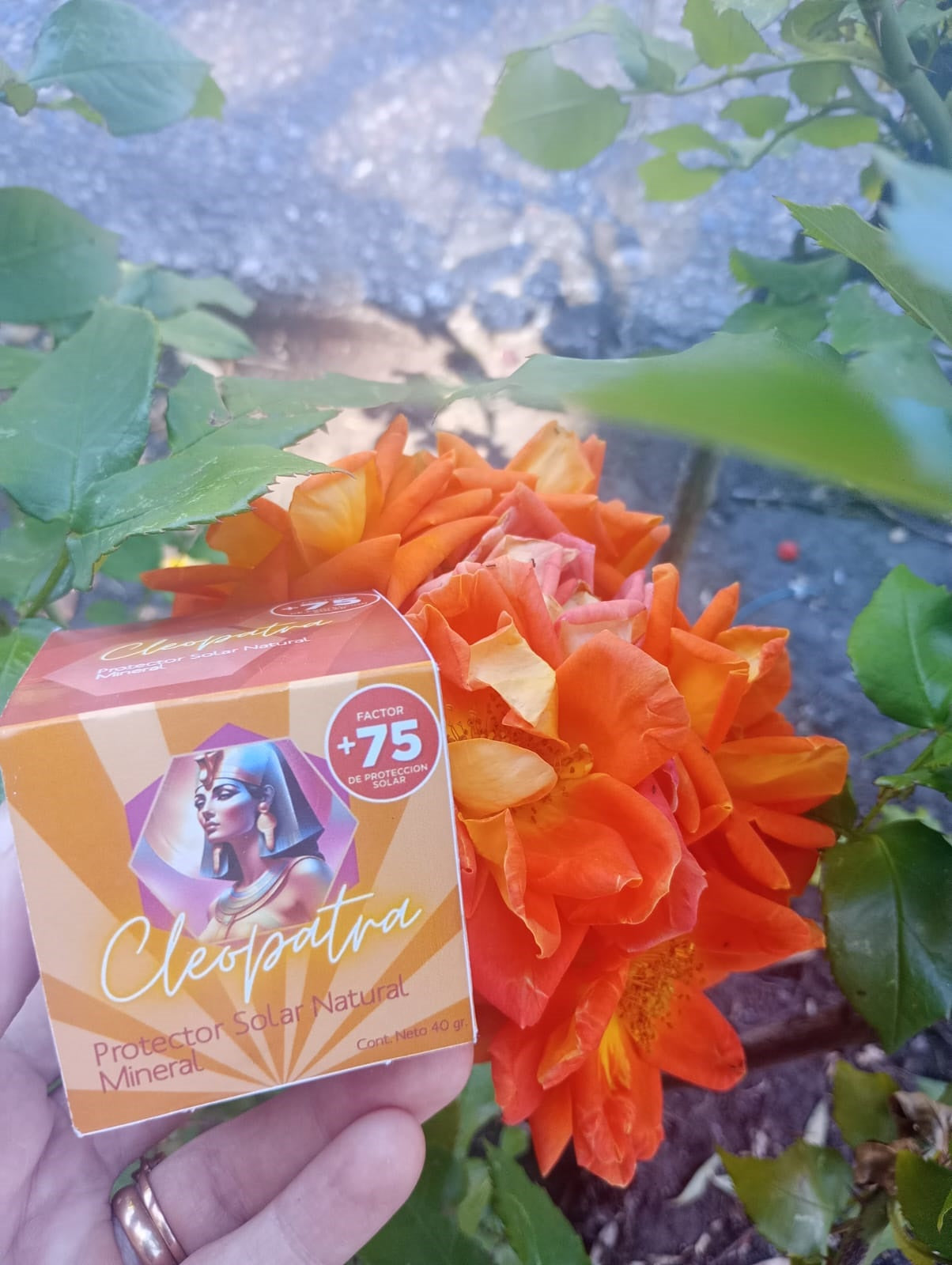 Crema Protector Solar Natural Mineral Cleopatra FPS+75  40g  Pack x6 | CLEO-SOL-75FPS-40-PACKx6