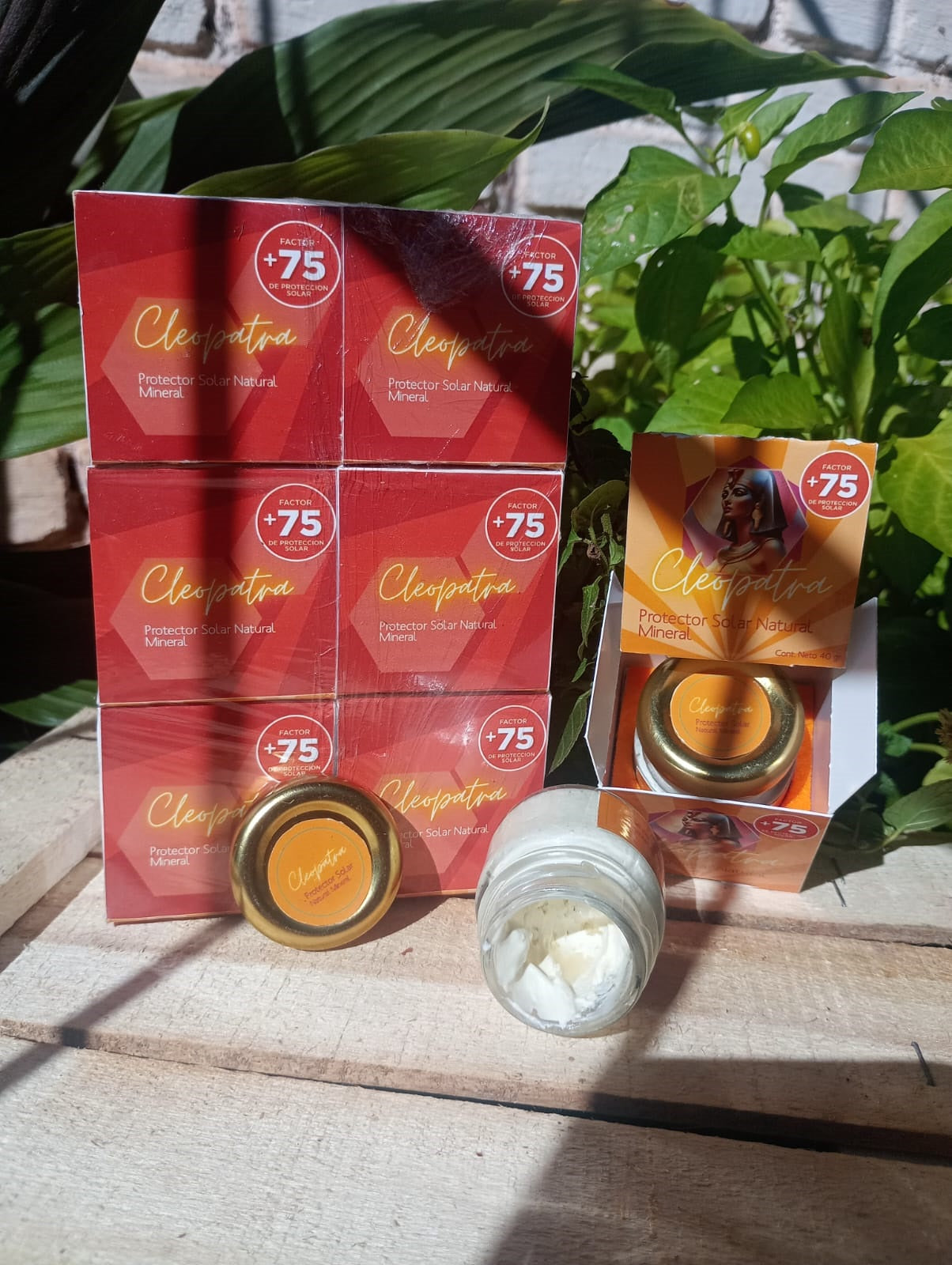 Crema Protector Solar Natural Mineral Cleopatra FPS+75  40g  Pack x6 | CLEO-SOL-75FPS-40-PACKx6