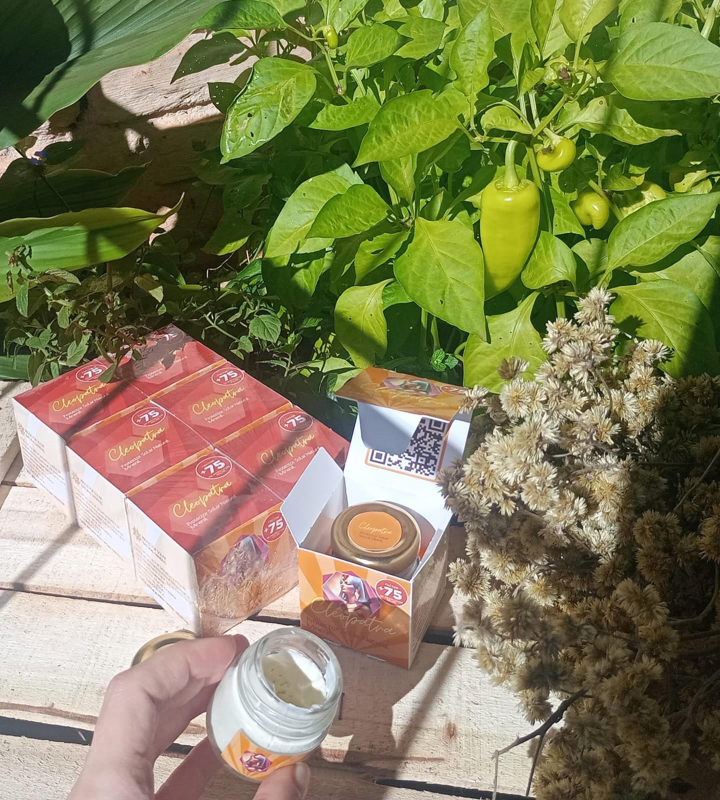 Crema Protector Solar Natural Mineral Cleopatra FPS+75  40g  Pack x6 | CLEO-SOL-75FPS-40-PACKx6