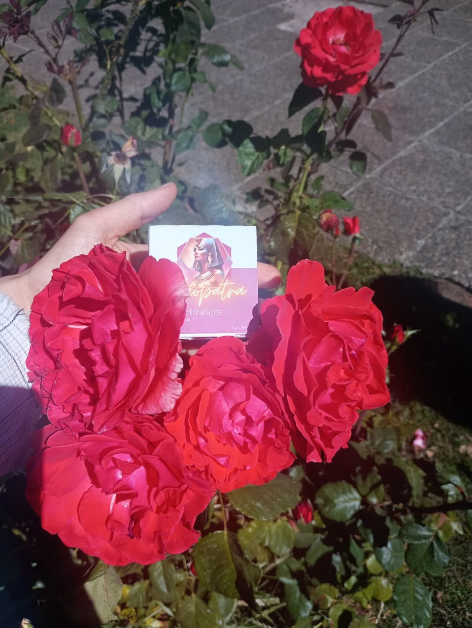 Crema Hidratante Facial Cleopatra OK Sana 40gr🏷️ / CLEO-HID-40