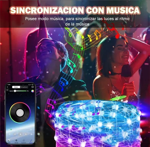 Luz Led Guirnalda Alambre Multicolor App Bluetooth Usb 10m