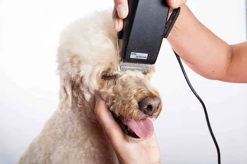 Maquina Cortar Pelo Perros Cortadora Canina + Accesorios