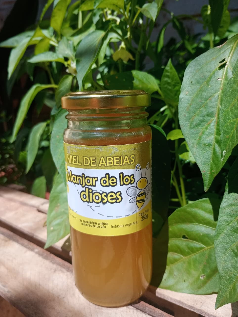 Miel Pura Cruda Clásica 250gr Frasco de Vidrio 🍯🇦🇷 / MIEL-CLA-250