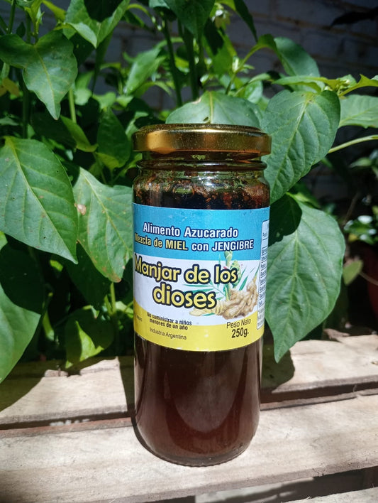 Miel Pura Cruda Compuesta c/Jengibre 250g Frasco de Vidrio / MIEL-JEN-250