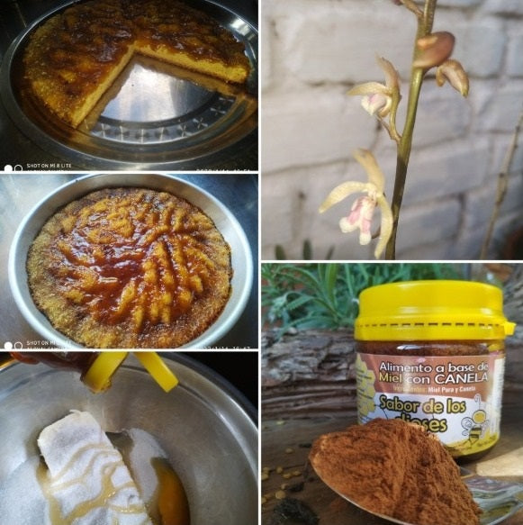 Miel Pura Cruda Clásica 250gr Frasco de Vidrio 🍯🇦🇷 / MIEL-CLA-250