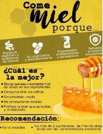 Miel Pura Cruda en Panal Natural 250gr Frasco de Vidrio 🍯🇦🇷 / MIEL-PAN-250