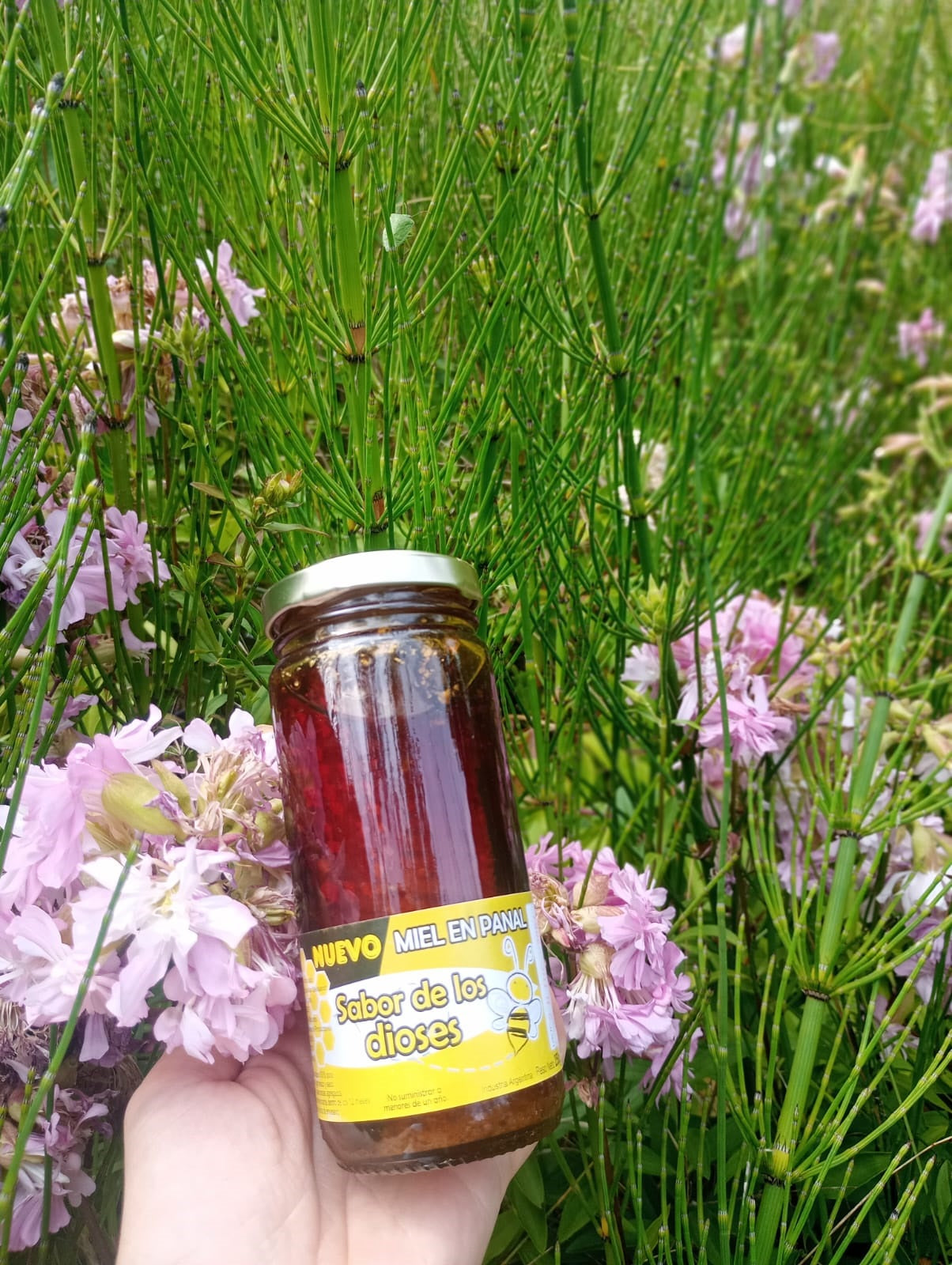 Miel Pura Cruda en Panal Natural 250gr Frasco de Vidrio 🍯🇦🇷 / MIEL-PAN-250