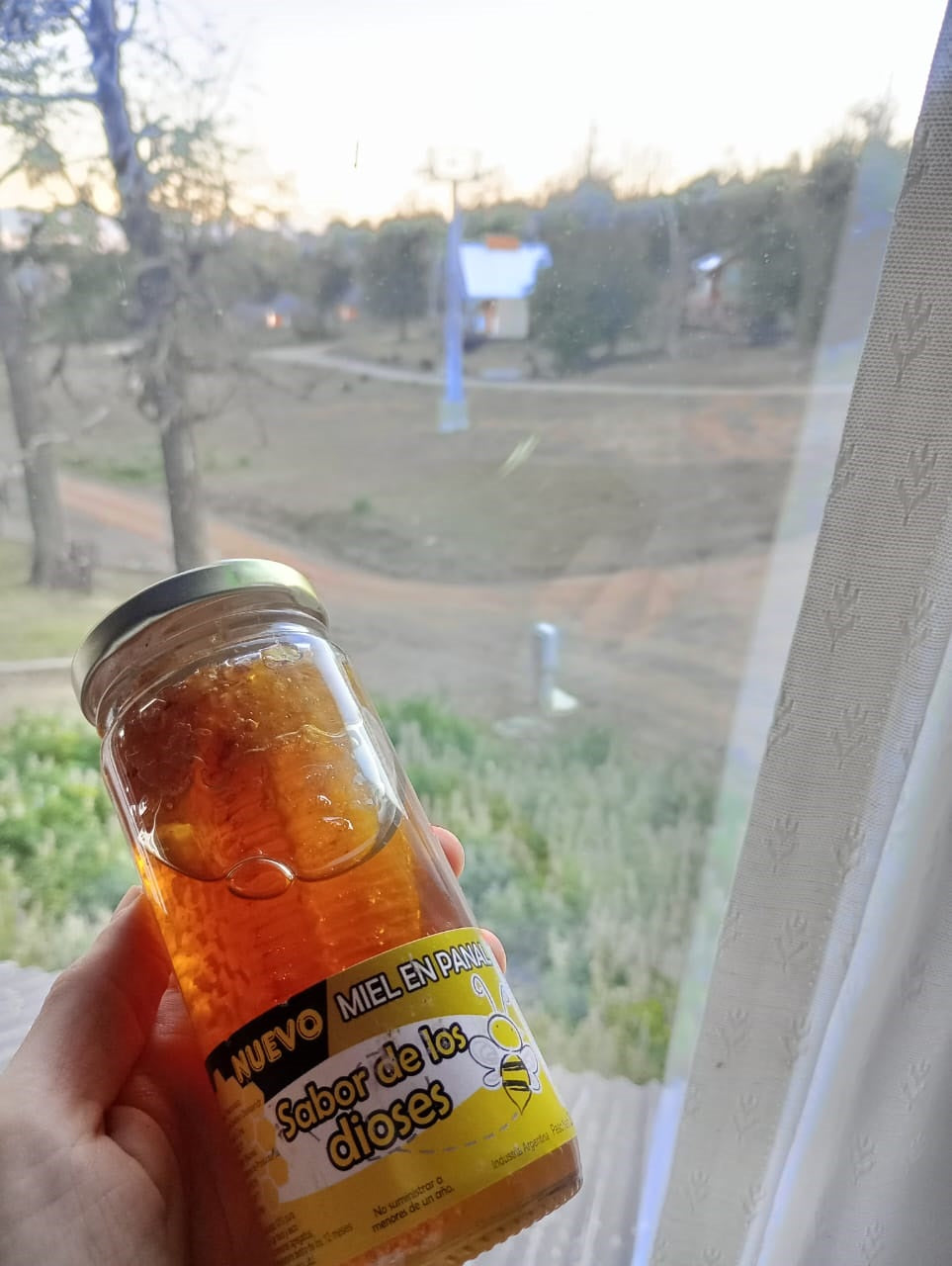 Miel Pura Cruda en Panal Natural 250gr Frasco de Vidrio 🍯🇦🇷 / MIEL-PAN-250