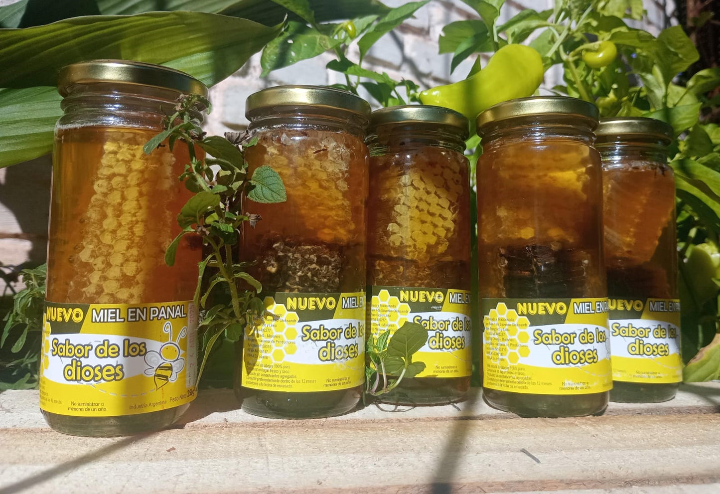 Miel Pura Cruda en Panal Natural 250gr Frasco de Vidrio 🍯🇦🇷 / MIEL-PAN-250