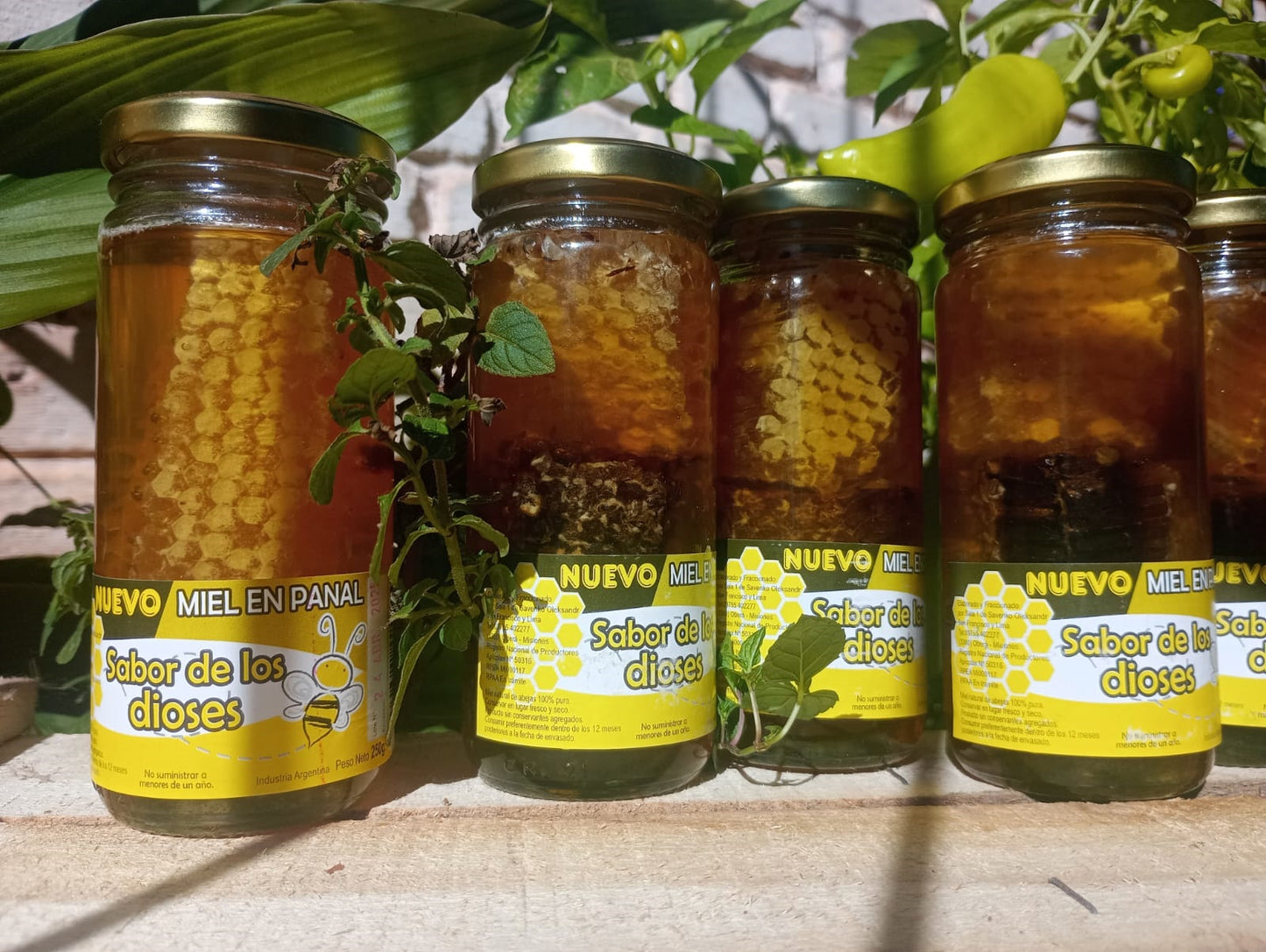 Miel Pura Cruda en Panal Natural 250gr Frasco de Vidrio 🍯🇦🇷 / MIEL-PAN-250