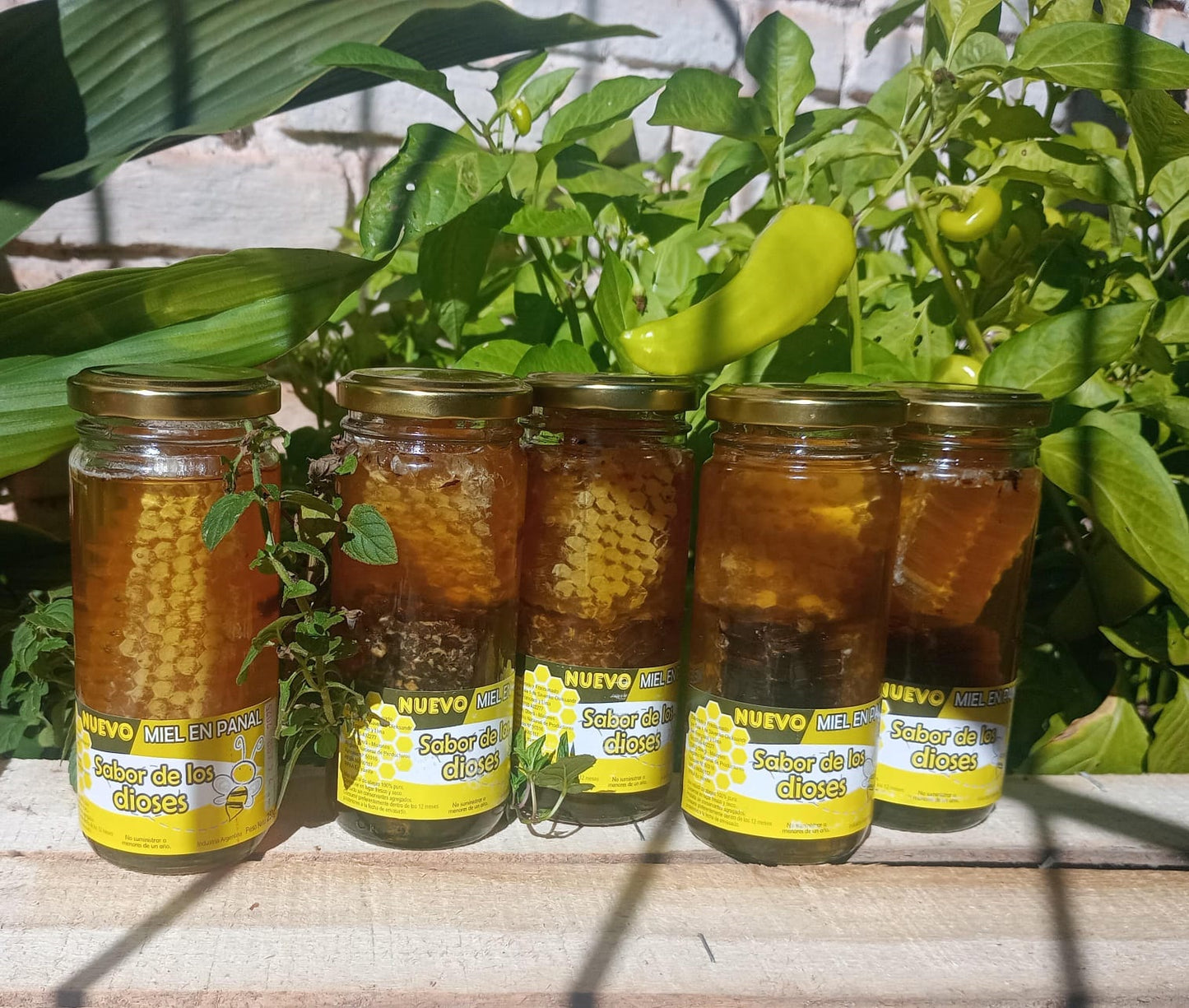 Miel Pura Cruda en Panal Natural 250gr Frasco de Vidrio 🍯🇦🇷 / MIEL-PAN-250