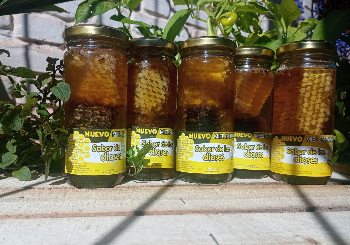 Miel Pura Cruda en Panal Natural 250gr Frasco de Vidrio 🍯🇦🇷 / MIEL-PAN-250